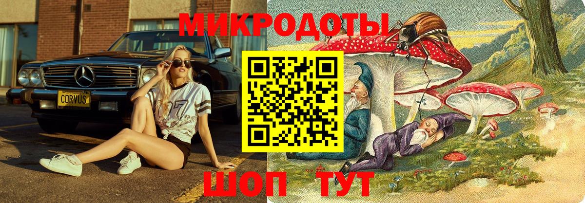 Галлюциногенные грибы Cubensis Ржев